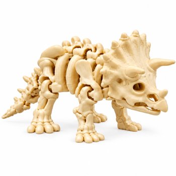 Miniatura Dinossauro Esqueleto Skeleton Triceratops